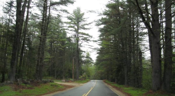 The 7 Best Backroads In Maine For A Long Scenic Drive