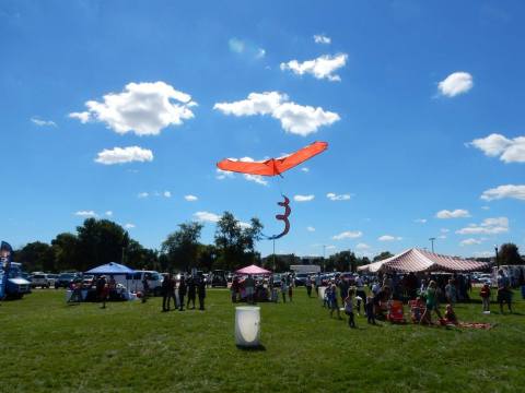 This Incredible Kite Festival In Illinois Is A Must-See