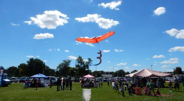 This Incredible Kite Festival In Illinois Is A Must-See