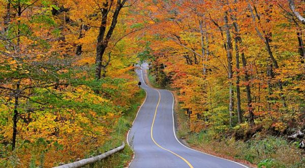 Take These 7 Country Roads In Massachusetts For A Gorgeous Scenic Drive