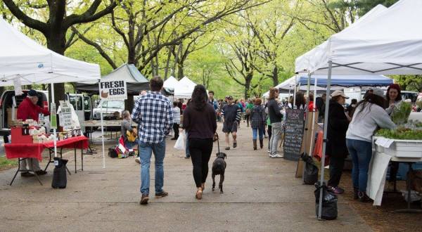 Everyone In Connecticut Must Visit This Epic Farmers Market At Least Once