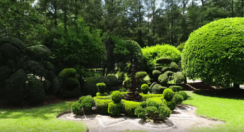 Most People Don't Know This Enchanting Oasis In South Carolina Even Exists
