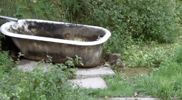Nobody Knows The Origins Of This Mysterious Bathtub Spring Hiding In Wisconsin