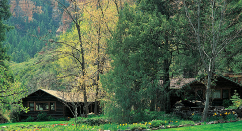 The Hidden Cabins In Arizona That You'll Never Want To Leave