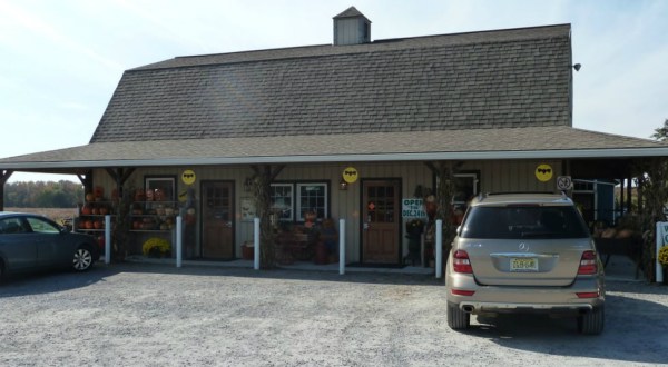 The Best Little Bakeshop In America Is Right Here In New Jersey