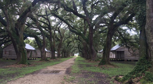 Take A Drive Down One Of Louisiana’s Oldest Roads For A Picture Perfect Day