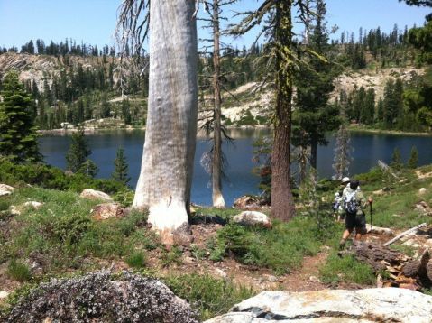 11 Amazing Northern California Hikes Under 2 Miles You'll Absolutely Love