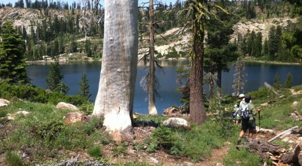 11 Amazing Northern California Hikes Under 2 Miles You’ll Absolutely Love