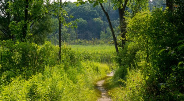 8 Amazing Indiana Hikes Under 3 Miles You’ll Absolutely Love
