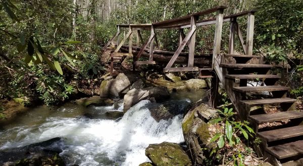 The Hiking Trail Hiding In South Carolina That Will Transport You To Another World