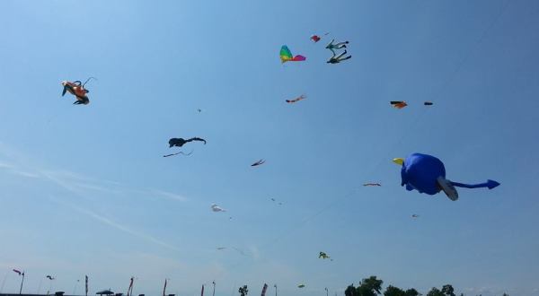 This Incredible Kite Festival In Buffalo Is A Must-See