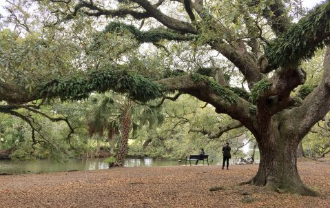8 Picnic Perfect New Orleans Hikes That Will Make Your Spring Complete