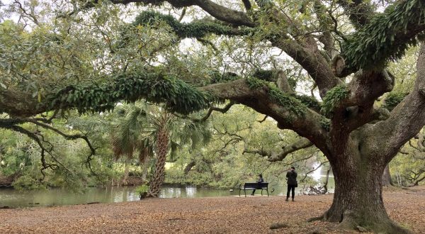 8 Picnic Perfect New Orleans Hikes That Will Make Your Spring Complete