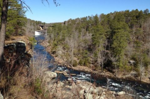 You'll Most Certainly Want To Explore This One-Of-A-Kind Nature Preserve In Alabama Before Summer Ends