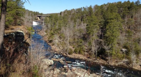 You’ll Most Certainly Want To Explore This One-Of-A-Kind Nature Preserve In Alabama Before Summer Ends