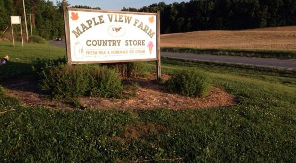 There’s An Ice Cream Shop On This Beautiful Farm In North Carolina And You Have To Visit