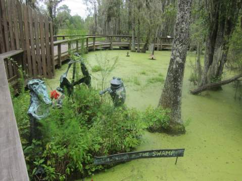 A Trip To South Carolina's Swamp Garden Is Like Visiting The Jungle