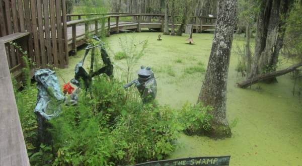 A Trip To South Carolina’s Swamp Garden Is Like Visiting The Jungle