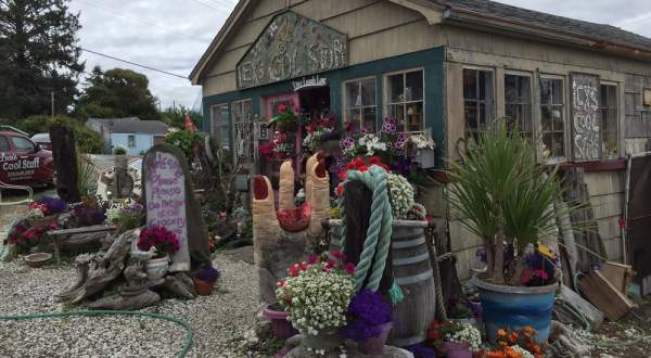 9 Incredible Thrift Stores In Oregon Where You’ll Find All Kinds Of Treasures