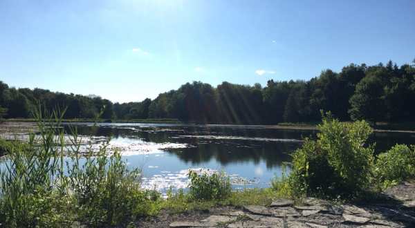 9 Amazing Buffalo Area Hikes Under 3 Miles You’ll Absolutely Love