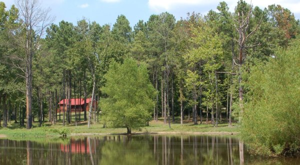 The Hidden Cabin In Arkansas That You’ll Never Want To Leave