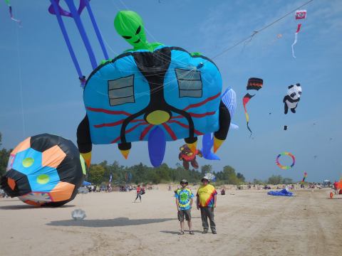 This Incredible Kite Festival In Indiana Is A Must-See