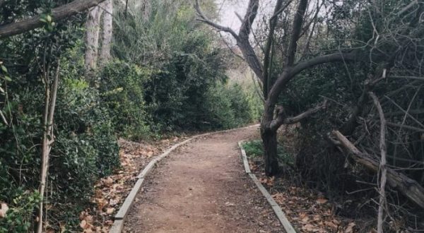 The Enchanting Trail In Southern California That Will Make You Blissfully Happy