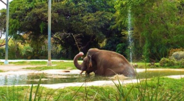 Most People Have No Idea You Can Spend The Night At This Awesome Florida Zoo