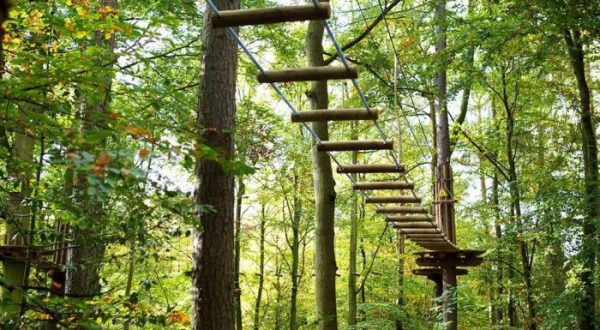 7 Amazing Treetop Adventures You Can Only Have In Connecticut