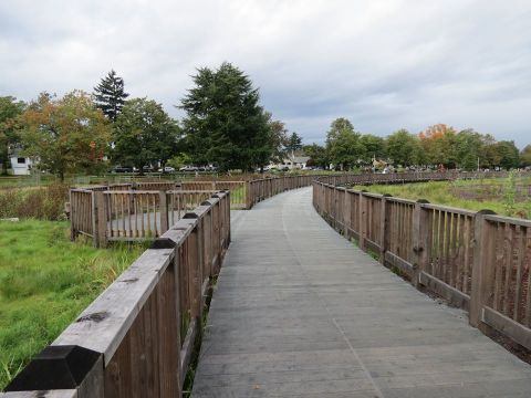 The Incredibly Unique Park That's Right Here In Portland's Own Backyard