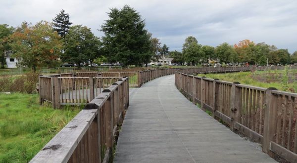 The Incredibly Unique Park That’s Right Here In Portland’s Own Backyard