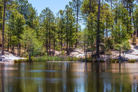 The Underrated Arizona Lake That’s Perfect For A Summer Day