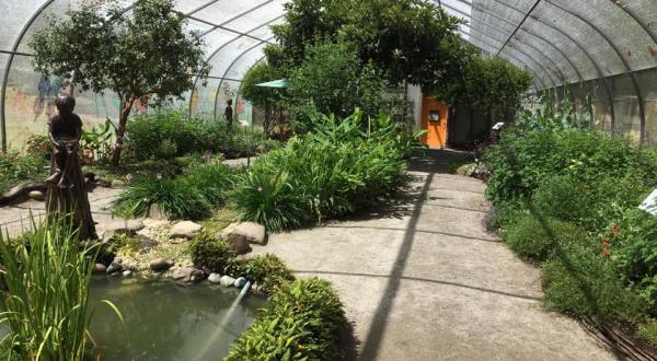 You’ll Want To Plan A Summer Day Trip To South Carolina’s Magical Butterfly House