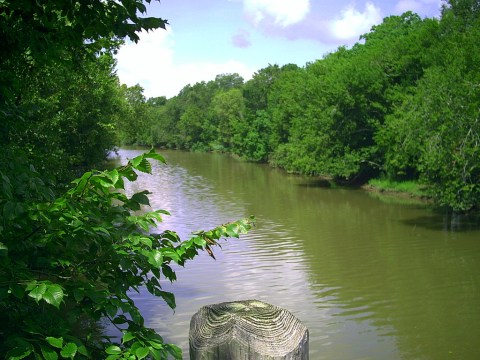 This Paddle Trail Will Take You Through Parts of Louisiana You Never Knew About