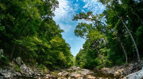 The Hiking Trail Hiding In Arkansas That Will Transport You To Another World