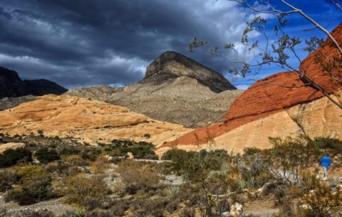 The Hiking Trail Hiding In Nevada That Will Transport You To Another World