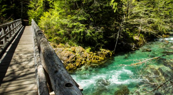 These 13 Summer Hikes In Oregon Are Positively Extraordinary