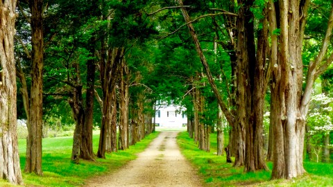 The Maryland Park That Will Make You Feel Like You Walked Into A Fairy Tale