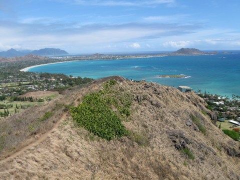 The Easy Trail In Hawaii That Will Take You To The Top Of The World