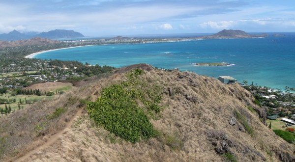 The Easy Trail In Hawaii That Will Take You To The Top Of The World