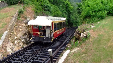 You’ll Absolutely Love A Ride On Tennessee's Majestic Mountain Train This Summer