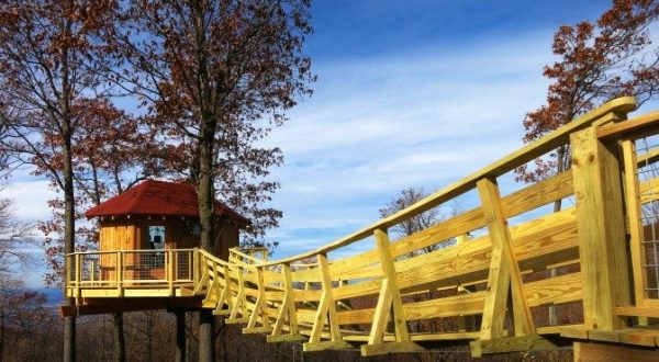 6 Amazing Treetop Adventures You Can Only Have In Pittsburgh