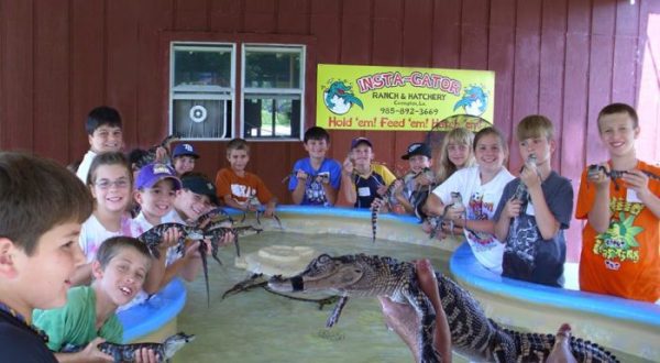 The One-Of-A-Kind Louisiana Alligator Ranch You Need To Visit At Least Once