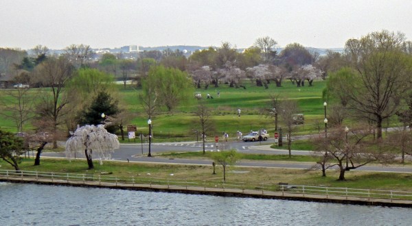 The Incredibly Unique Park That’s Right Here In Washington DC’s Own Backyard