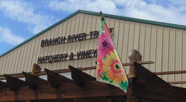 Visit The Wisconsin Vineyard That Put Wisconsin Wine Culture On The Map … Literally
