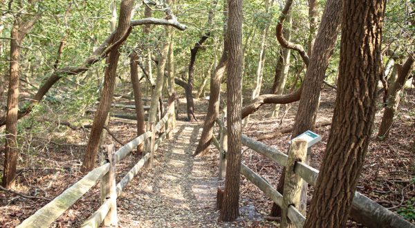 7 Big Reasons To Visit New Jersey’s Smallest State Park