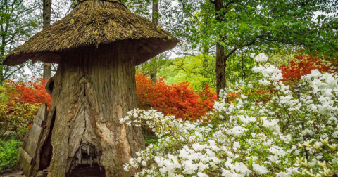 Most People Have No Idea There's A Fairy Garden Hiding In Delaware And It's Magical