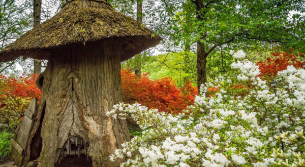 Most People Have No Idea There’s A Fairy Garden Hiding In Delaware And It’s Magical