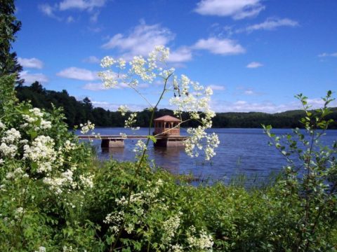 Escape To This Hidden Oasis In Connecticut To Find Peace And Quiet
