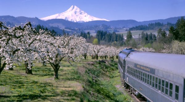 You’ll Absolutely Love A Ride On Oregon’s Majestic Mountain Train This Summer